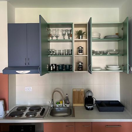 Apartment Vera With Free Garage Novi Sad Bagian luar foto