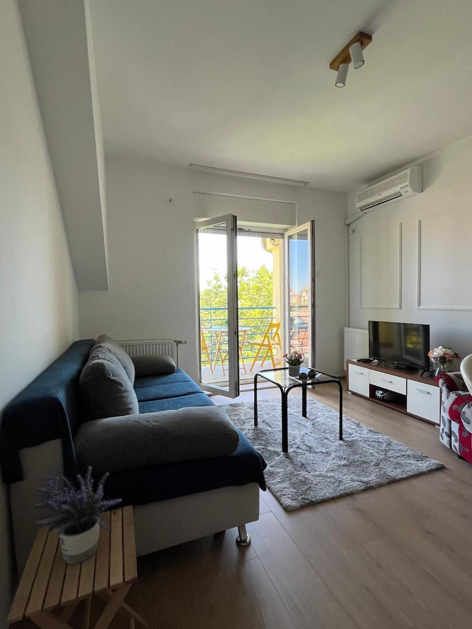 Apartment Vera With Free Garage Novi Sad Bagian luar foto