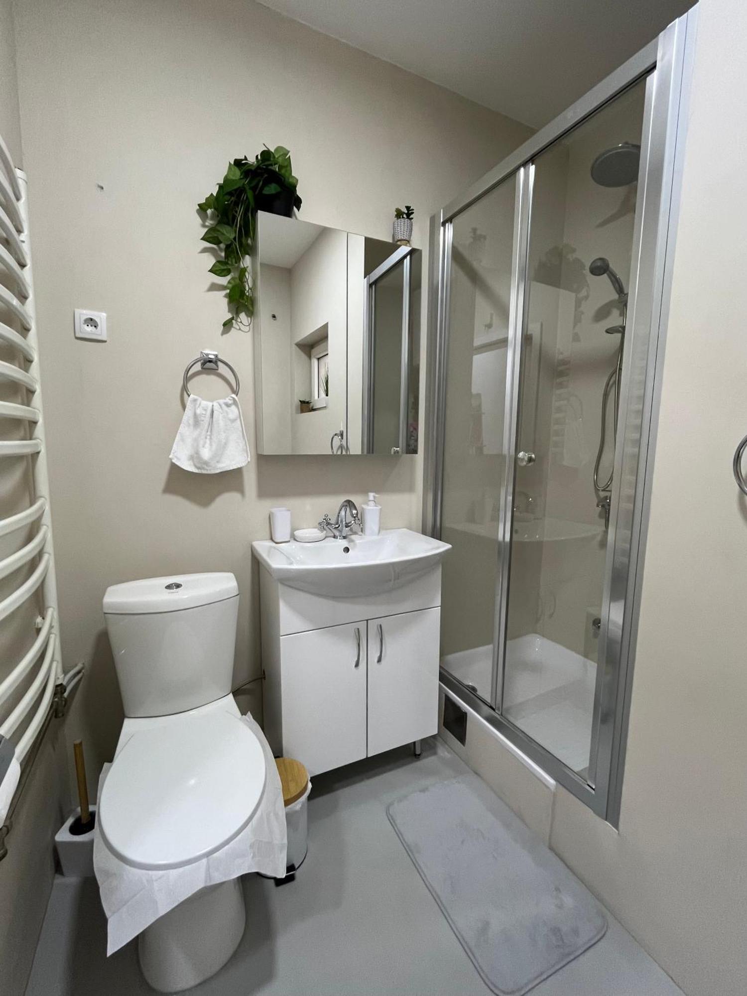 Apartment Vera With Free Garage Novi Sad Bagian luar foto