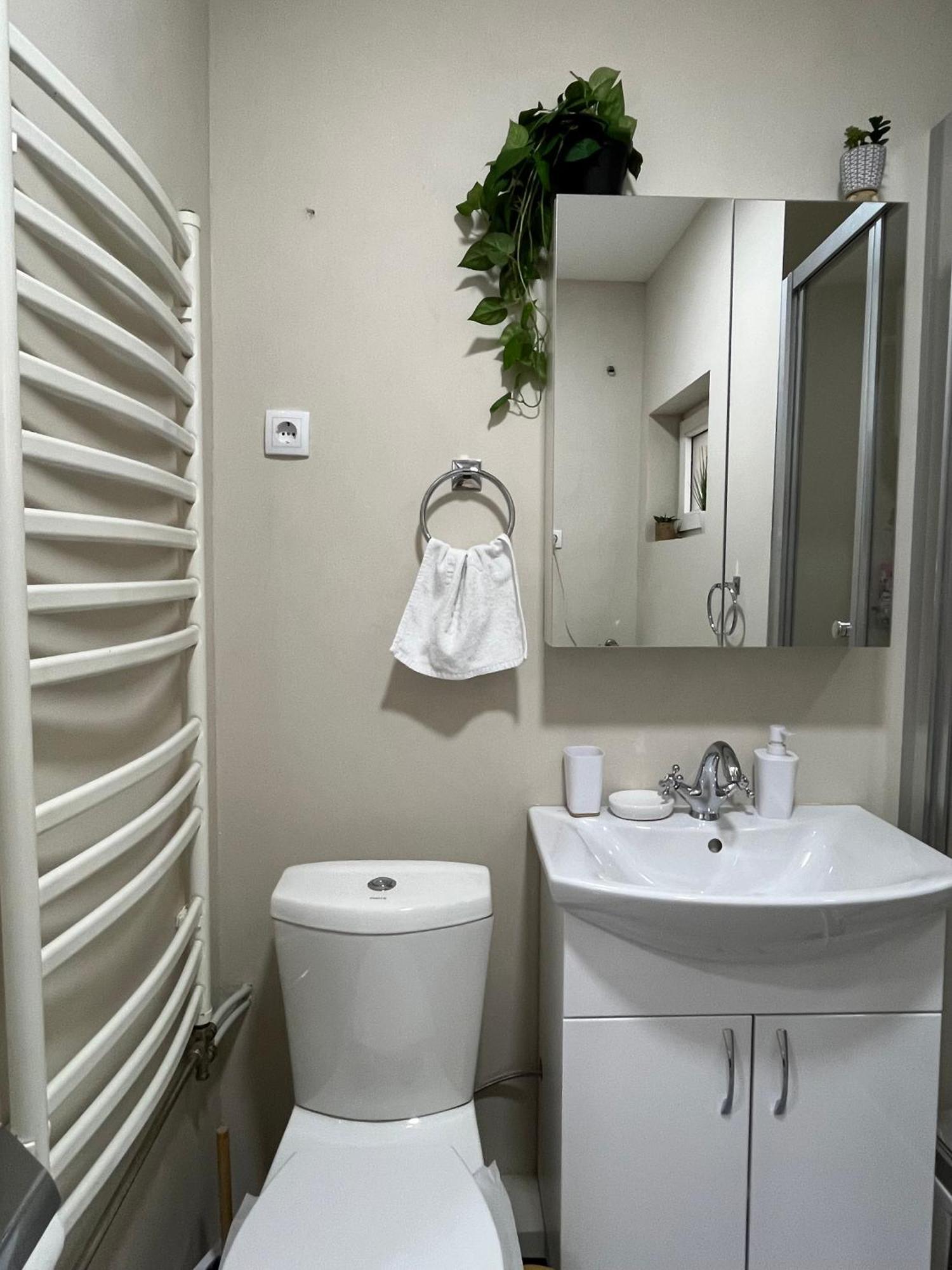 Apartment Vera With Free Garage Novi Sad Bagian luar foto
