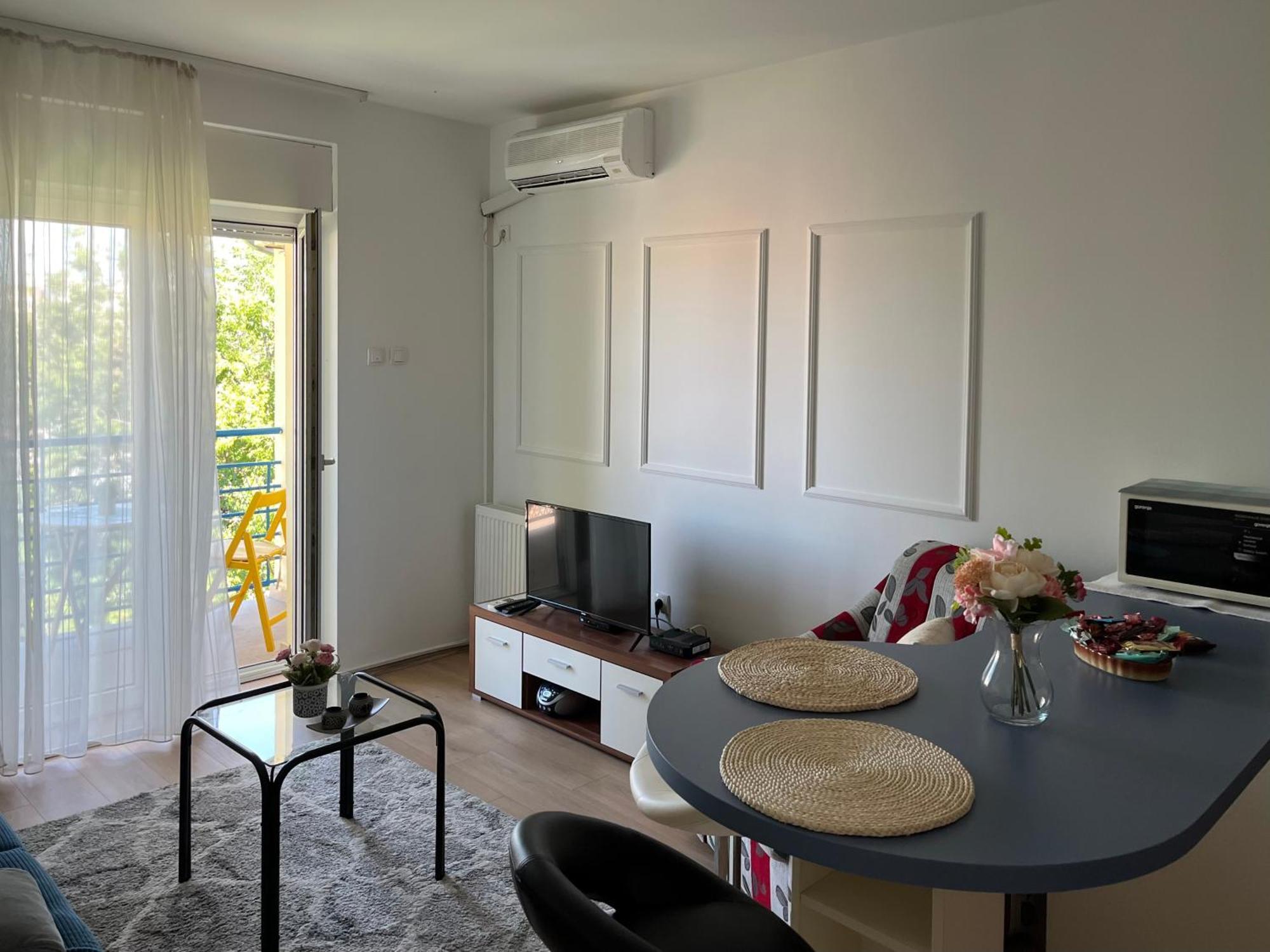 Apartment Vera With Free Garage Novi Sad Bagian luar foto