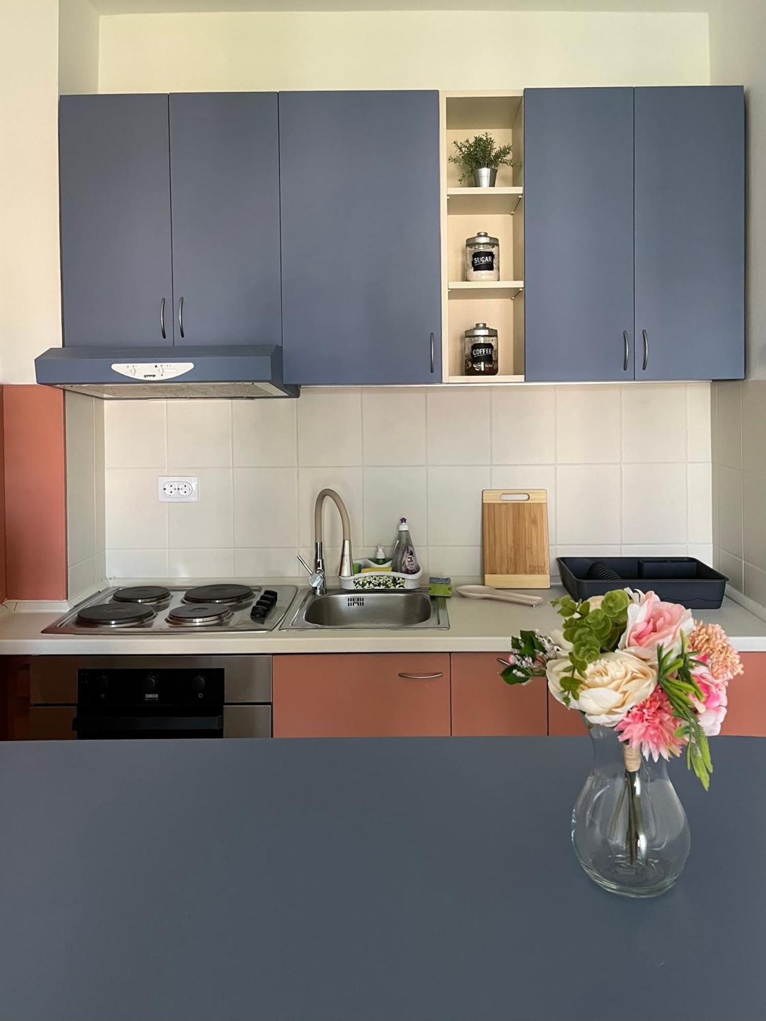 Apartment Vera With Free Garage Novi Sad Bagian luar foto