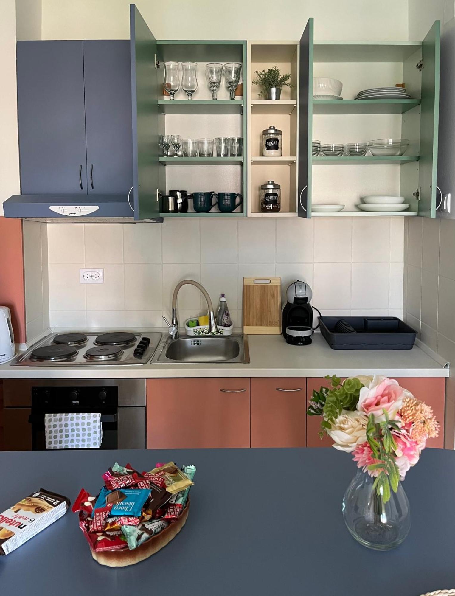 Apartment Vera With Free Garage Novi Sad Bagian luar foto