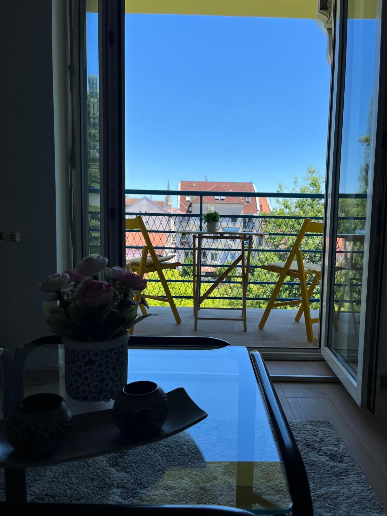 Apartment Vera With Free Garage Novi Sad Bagian luar foto
