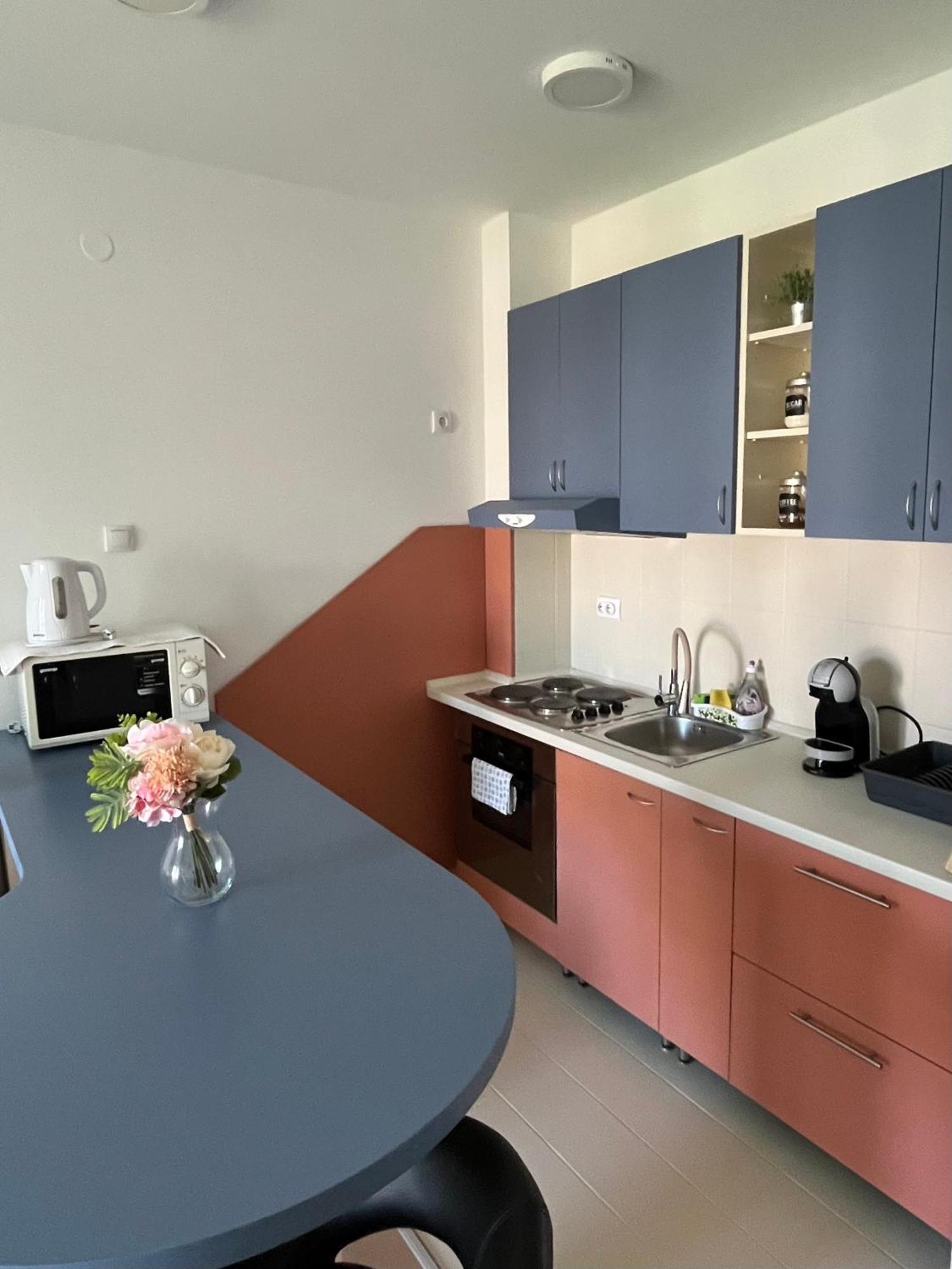 Apartment Vera With Free Garage Novi Sad Bagian luar foto